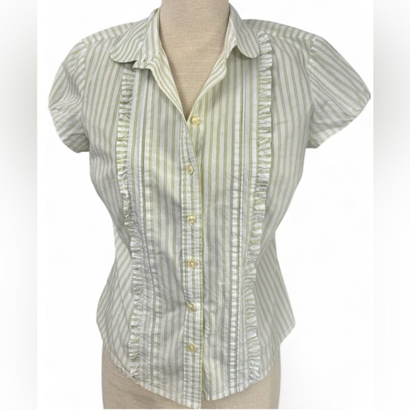 Ann Taylor Petites Green Striped Women's Top - Picture 1 of 3